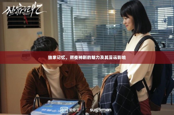 独家记忆，熬夜神剧的魅力及其深远影响