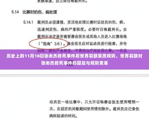 世界羽联对张志杰猝死事件的回应与规则变革，历史性的改变与纪念