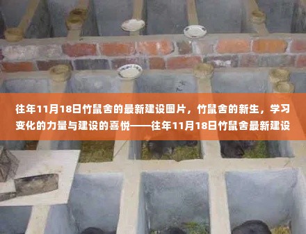 往年11月18日竹鼠舍建设纪实，新生与成长之力量，竹鼠舍最新建设图片展现建设喜悦与学习变化的力量