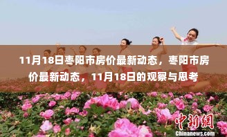 11月18日枣阳市房价最新动态观察与深度思考