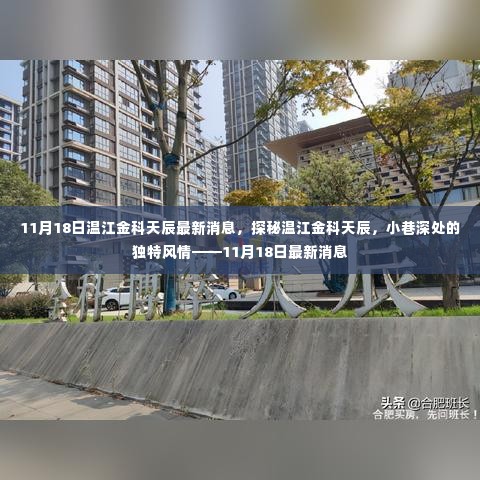 探秘温江金科天辰，小巷深处的独特风情——最新消息揭秘（11月18日）