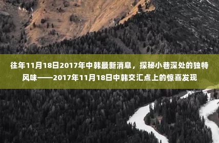 探秘小巷深处，中韩交汇点上的独特风味与惊喜发现——2017年11月18日最新消息