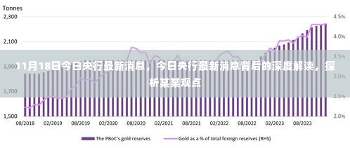 央行最新动态解读，深度探析与某某观点探讨