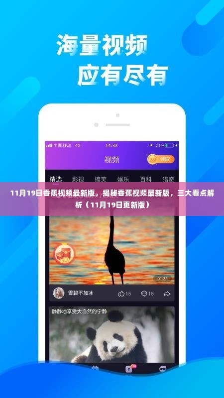 涉黄警告，揭秘香蕉视频最新版的三大看点解析（11月更新）