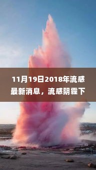 流感阴霾下的心灵探索之旅，最新消息与宁静自然之旅（2018年11月）