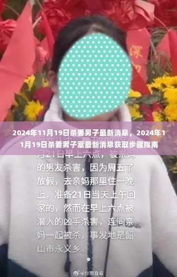 2024年11月19日杀妻男子案最新消息获取指南