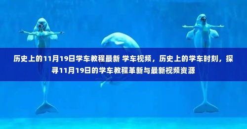 探寻学车新纪元，历史上的11月19日学车教程革新与最新视频资源分享