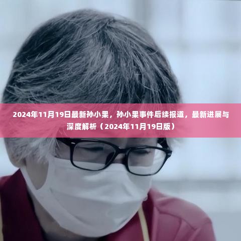 孙小果事件最新进展与深度解析，2024年11月19日版报道后续更新