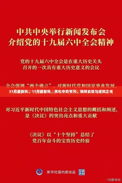 11月最新钨市场动态，变化中的学习，铸就自信与成就之光