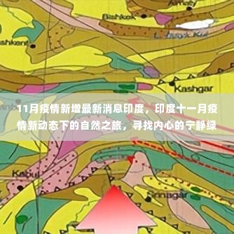 印度11月疫情最新动态下的自然之旅，探寻内心宁静绿洲