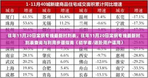 往年11月20日宝钢专线时刻表大全，查询指南与利用步骤，初学者与进阶用户必备参考！