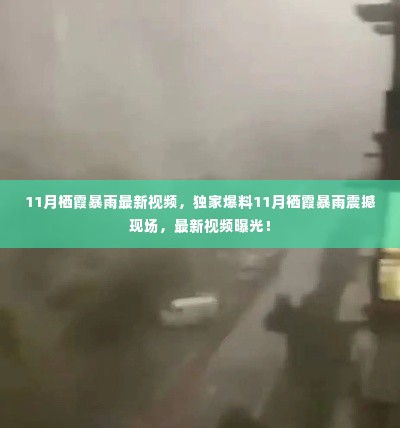 独家揭秘，11月栖霞暴雨震撼现场最新视频曝光！