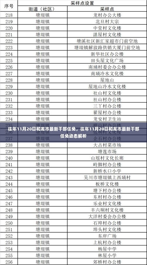 往年11月20日和龙市最新干部任免动态解析及调整概况