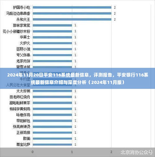 平安银行116系统最新信息深度解析与评测报告（2024年最新版）