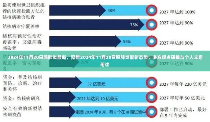 2024年11月20日肥肺炎最新态势，多方观点碰撞与个人立场阐述