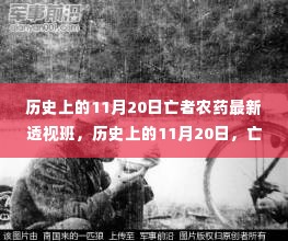 历史上的11月20日，亡者农药最新透视班——变化中的自信与成就感之源