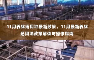 11月养猪场用地政策解读及操作指南，最新政策速递与深度分析