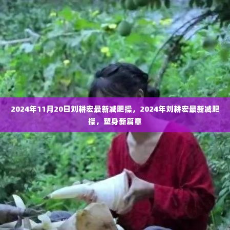 刘耕宏最新减肥操，塑身新篇章（2024年11月版）