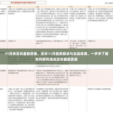 深圳11月新政解读与实操指南，顺利适应深圳最新政策的步骤