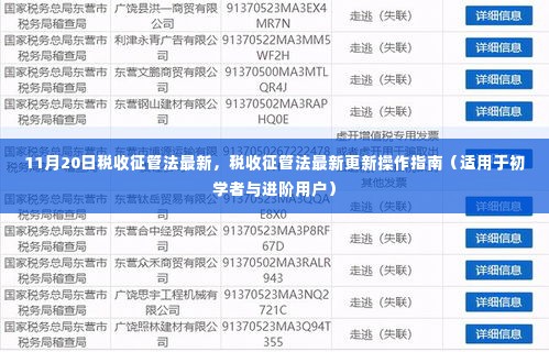 税收征管法最新更新操作指南，适用于初学者与进阶用户（11月20日最新版）