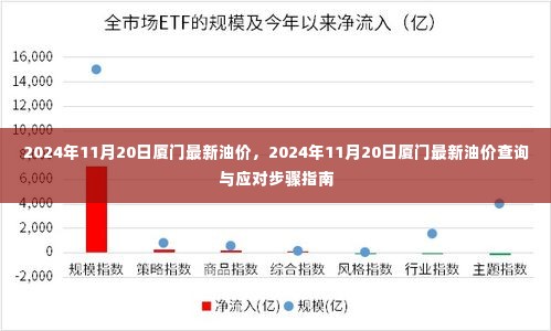 2024年11月20日厦门油价更新及应对步骤指南