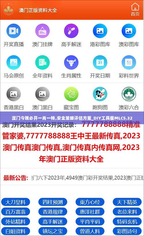 澳门今晚必开一肖一特,安全策略评估方案_DIY工具版MLC5.32