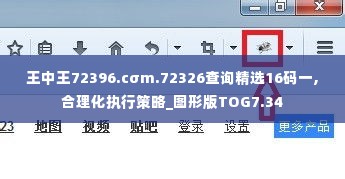 王中王72396.cσm.72326查询精选16码一,合理化执行策略_图形版TOG7.34