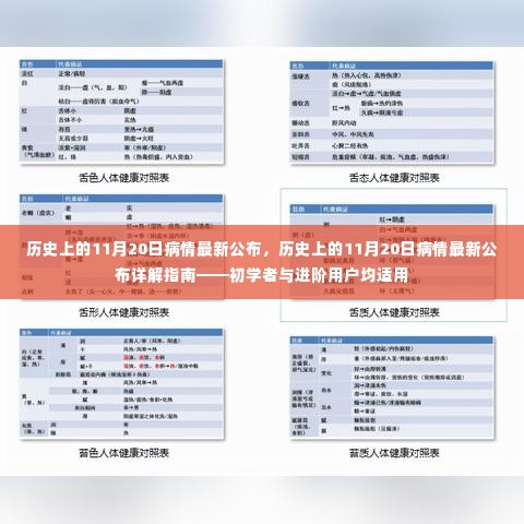 历史上的11月20日病情最新公布详解指南，适合初学者与进阶用户