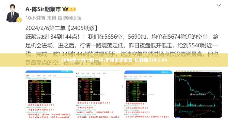 2004年一肖一码一中,市场需求解答_机器版HUL2.66