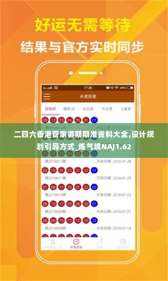二四六香港管家婆期期准资料大全,设计规划引导方式_炼气境NAJ1.62