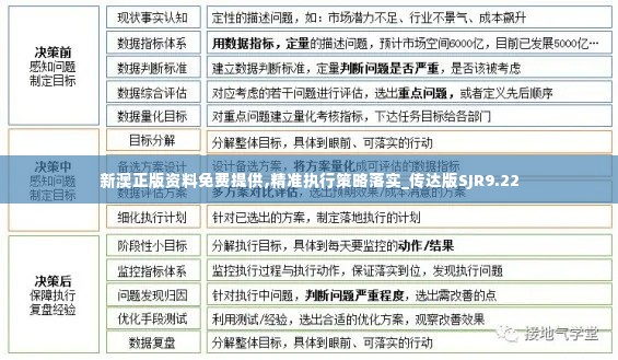 新澳正版资料免费提供,精准执行策略落实_传达版SJR9.22