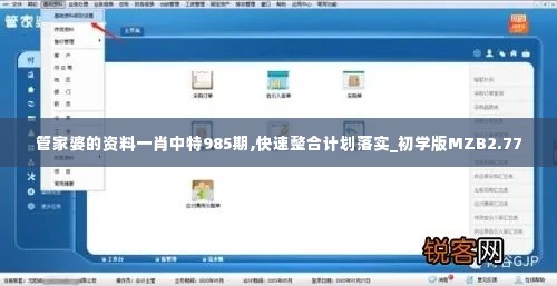 管家婆的资料一肖中特985期,快速整合计划落实_初学版MZB2.77