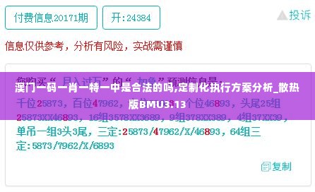 澳门一码一肖一特一中是合法的吗,定制化执行方案分析_散热版BMU3.13