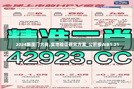 2024新澳门六肖,实地验证研究方案_公积板AIB1.21