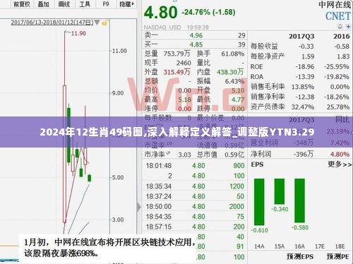 2024年12生肖49码图,深入解释定义解答_调整版YTN3.29