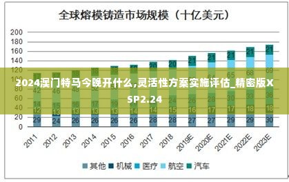 2024澳门特马今晚开什么,灵活性方案实施评估_精密版XSP2.24