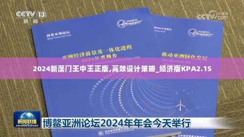 2024新澳门王中王正版,高效设计策略_经济版KPA2.15