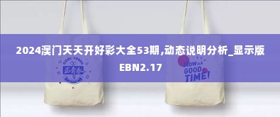 2024澳门天天开好彩大全53期,动态说明分析_显示版EBN2.17