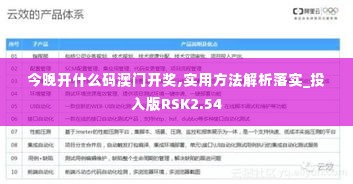 今晚开什么码澳门开奖,实用方法解析落实_投入版RSK2.54