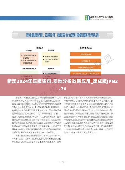 新澳2024年正版资料,实地分析数据应用_速成版JPN2.76