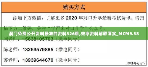 澳门免费公开资料最准的资料326期,效率资料解释落实_MCM9.58