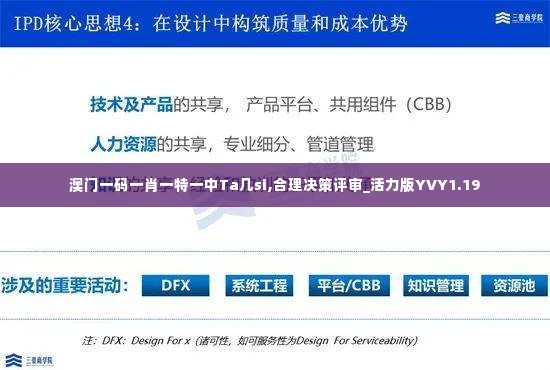 澳门一码一肖一特一中Ta几si,合理决策评审_活力版YVY1.19