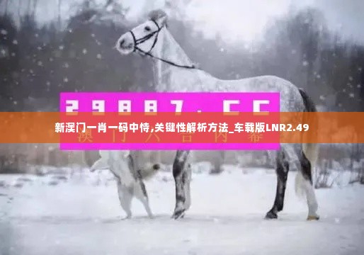 新澳门一肖一码中恃,关键性解析方法_车载版LNR2.49