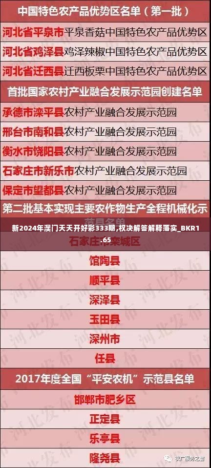 新2024年澳门天天开好彩333期,权决解答解释落实_BKR1.65