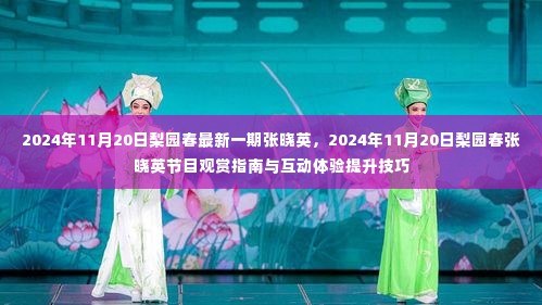 梨园春张晓英节目观赏指南与互动体验提升技巧——2024年11月20日最新一期