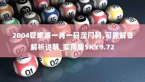 2004管家婆一肖一码澳门码,可靠解答解析说明_实用版SKY9.72