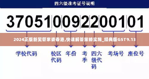 2024正版新奥管家婆香港,快速解答策略实施_经典版GST9.13