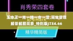 王中王一肖一特一中一澳,高效管理解答解释现象_特别版JTE4.66