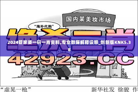 2024管家婆一码一肖资料,专业数据解释设想_创新版KNK5.38