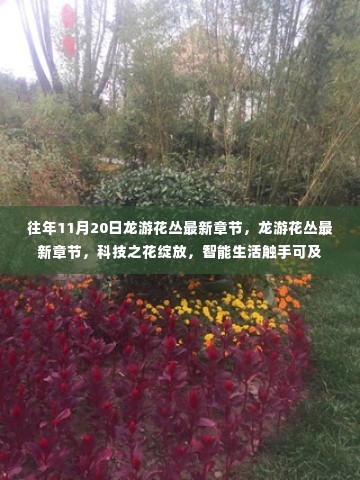 科技之花绽放，龙游花丛智能生活新篇章